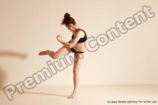 thaibox reference 03 11